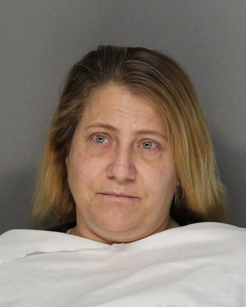 Mugshot of DEBBIE LYNN BREWER