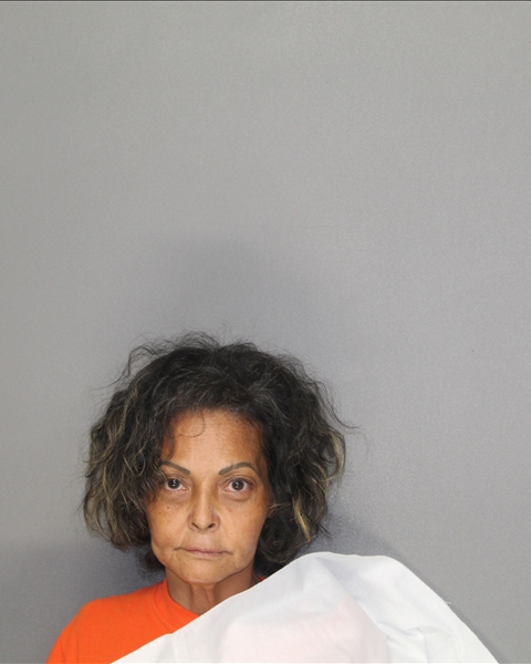 Mugshot of ROSA LINDA TORRES