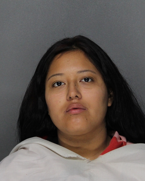 Mugshot of KAREN MILAGROS VELASQUEZ