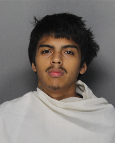 Mugshot of LANDON ALONSO