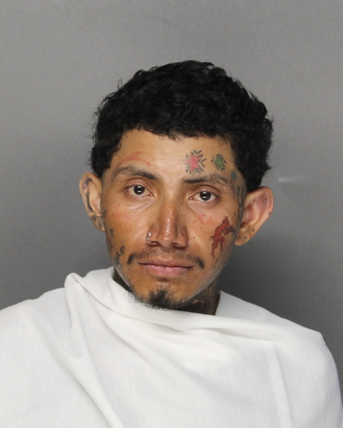 Mugshot of JOSE LEONEL SALINA PASTRANA