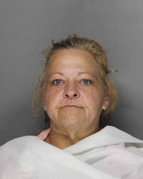 Mugshot of ROBIN GAYLYNN TIDWELL