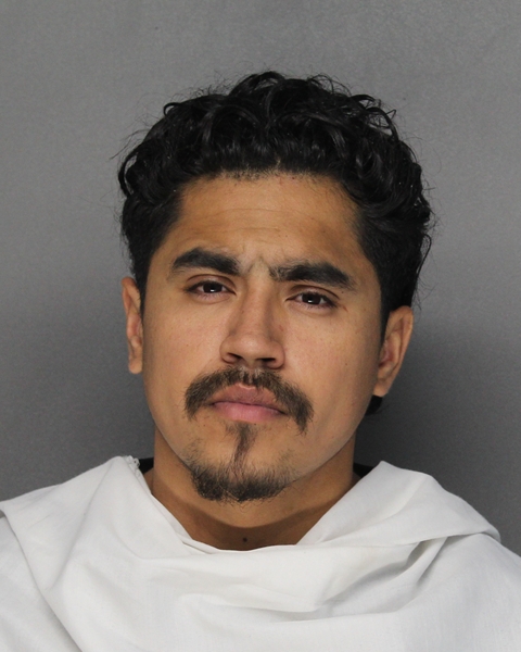Mugshot of EDWIN BRYAN ORNELAS-GALVAN
