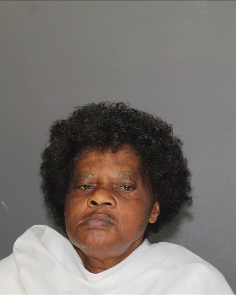 Mugshot of SHERIE VENELL PIPER