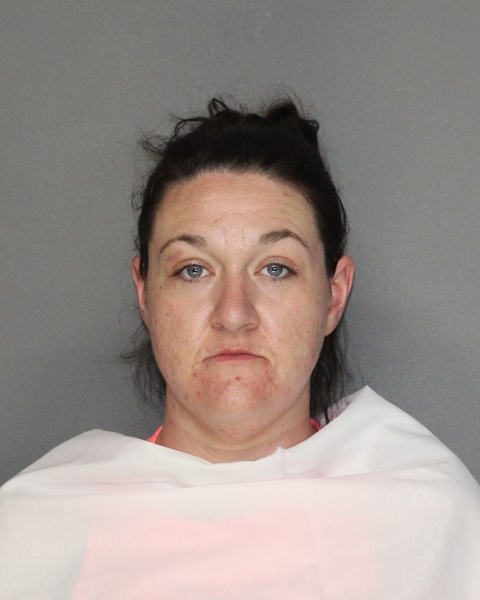 Mugshot of SARA LORAINE ROBINSON
