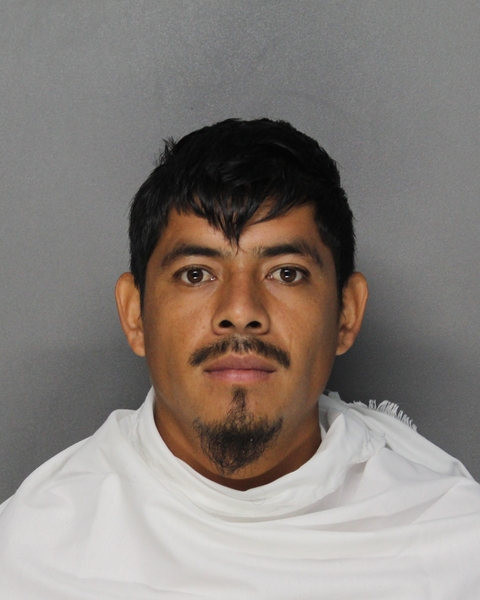 Mugshot of JOSE SANCHEZ FLORES