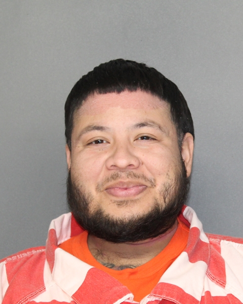 Mugshot of FERNANDO SOTO