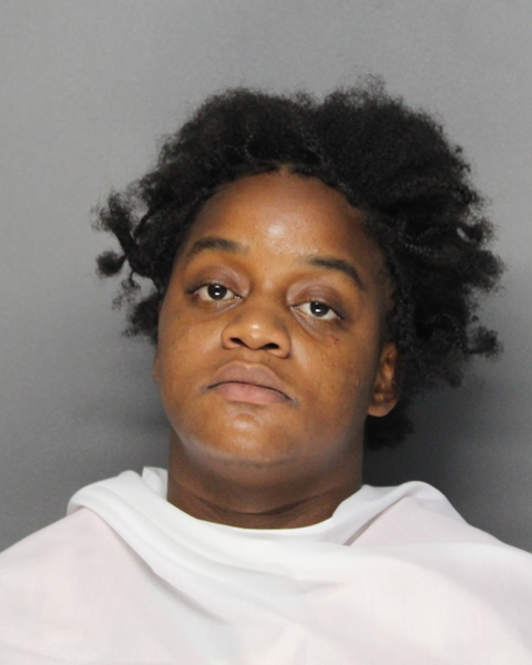 Mugshot of SHERBREA LYNETTE PEARL