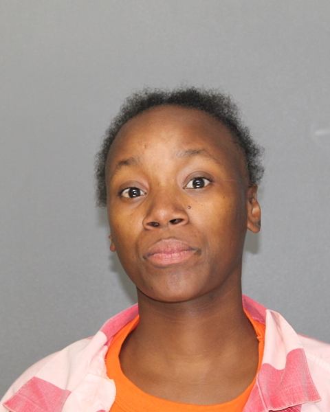 Mugshot of KEMBERLY MENIQUE ROLLINS