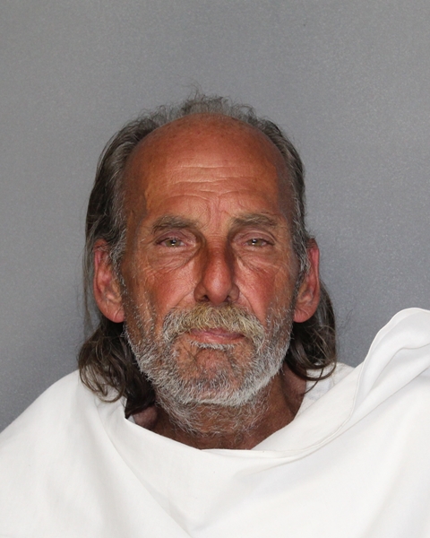 Mugshot of GALYN JOELL REED