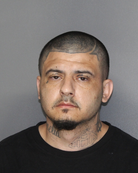 Mugshot of JAVIER GOODIN
