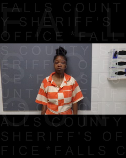 Mugshot of STEFONIQUE MESCHOLE DAVIS