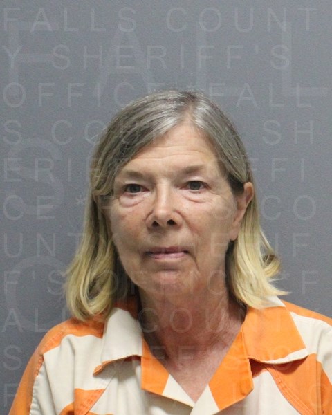Mugshot of JOAN MITCHELL PALASOTA