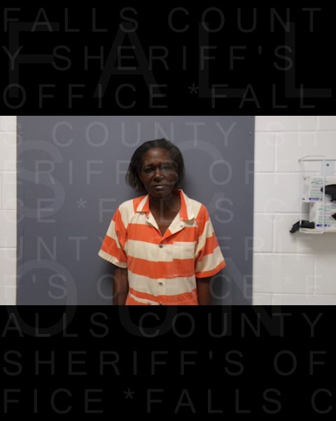 Mugshot of JUDY HAMBRICK