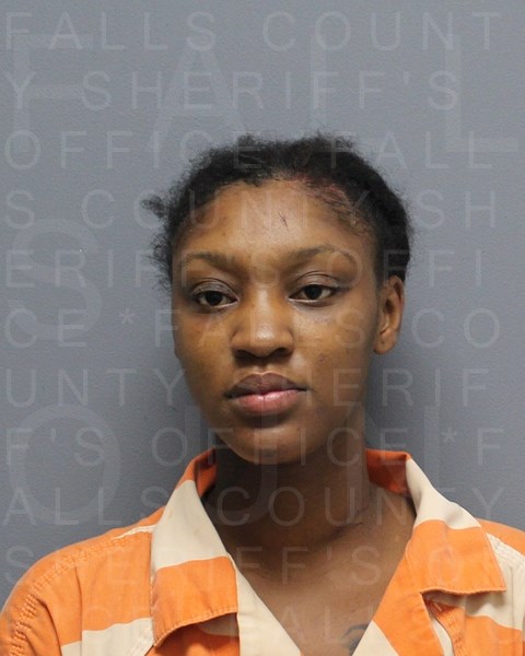 Mugshot of TAMARIA SHANTEL BURNS