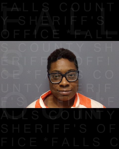 Mugshot of MARY JANE ANDERSON