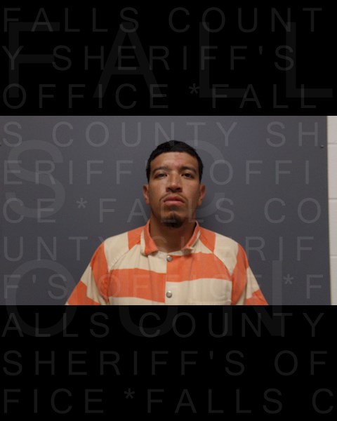 Mugshot of DAVID ALEJANDRO ALVARENGA