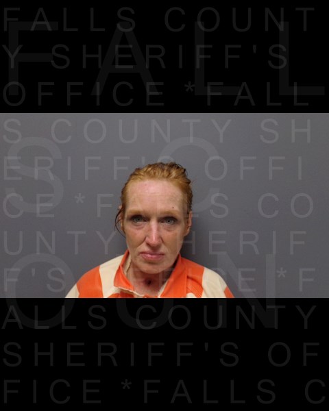 Mugshot of ASHLEE MICHELLE ROSE