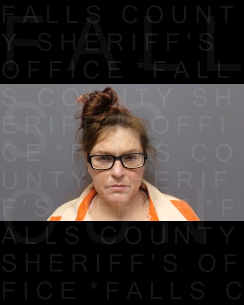 Mugshot of JENNIFER DAVEY