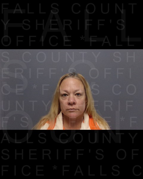 Mugshot of AMANDA LIGON