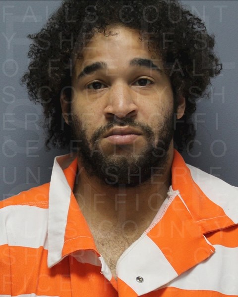 Mugshot of CAYL ALAN WAGNER