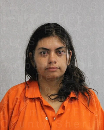 Mugshot of ALEXANDRA RAE GONZALEZ