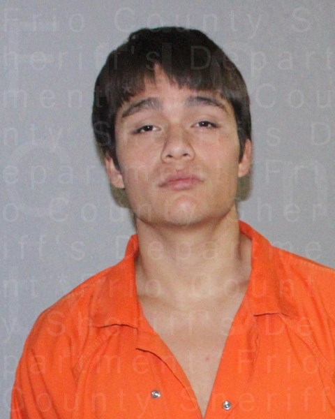 Mugshot of TOMAS HOLT