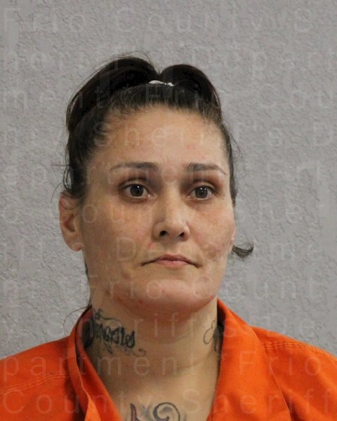 Mugshot of SANDRA YBARRA