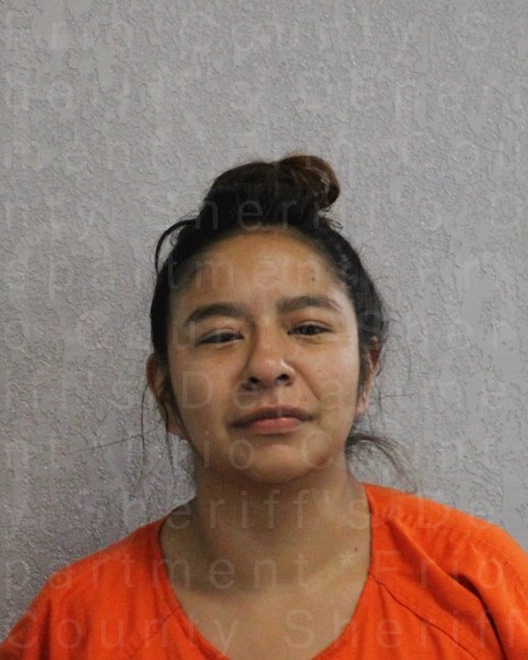 Mugshot of ADRIANA LYNN LEDEZMA