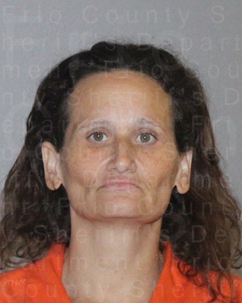 Mugshot of STARR VIRGINA RUIZ