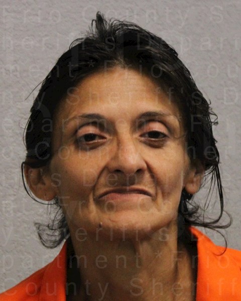Mugshot of IDA Del Toro FERNANDEZ