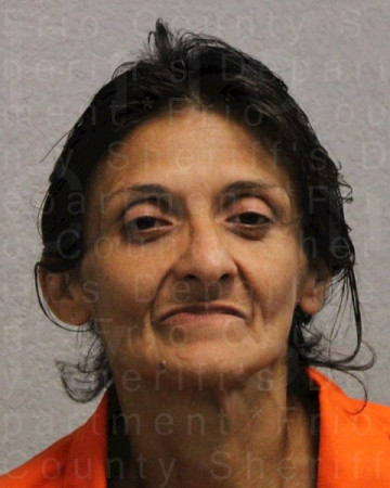 Mugshot of IDA Del Toro FERNANDEZ