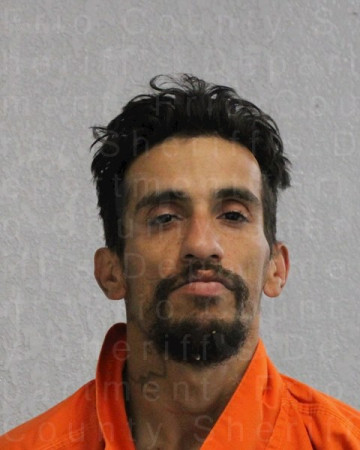 Mugshot of ANGEL DAVID ELIZONDO