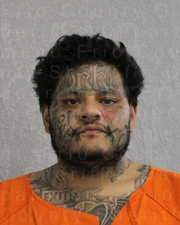 Mugshot of CAMILO MEDRANO