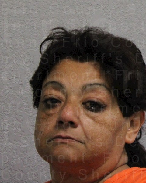 Mugshot of JANICE VASQUEZ MARTINEZ