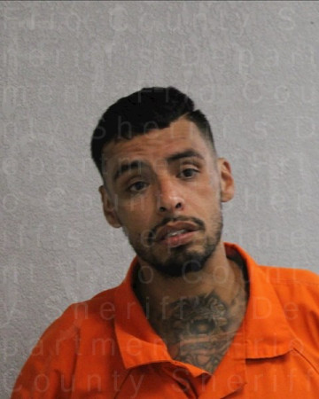 Mugshot of PATRICIO PERALTA
