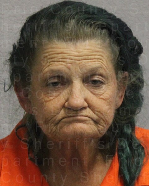 Mugshot of SUSAN DYANN MCDONALD