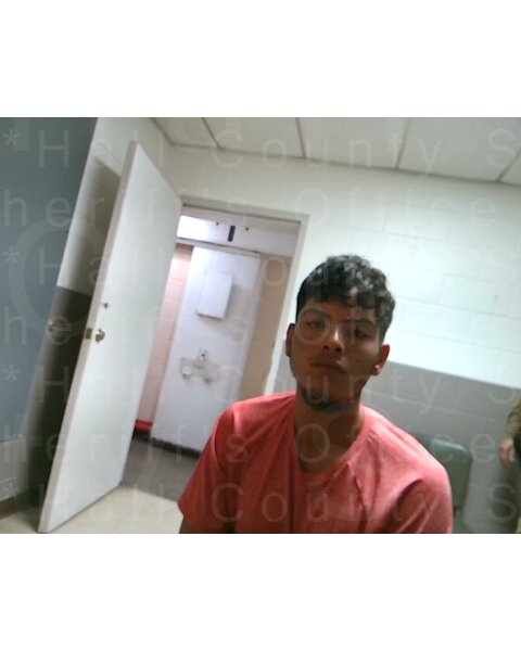 Mugshot of JOEL ESPINOZA DELGAO