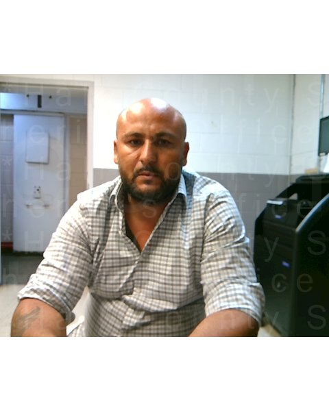 Mugshot of IONEL VERDESAN