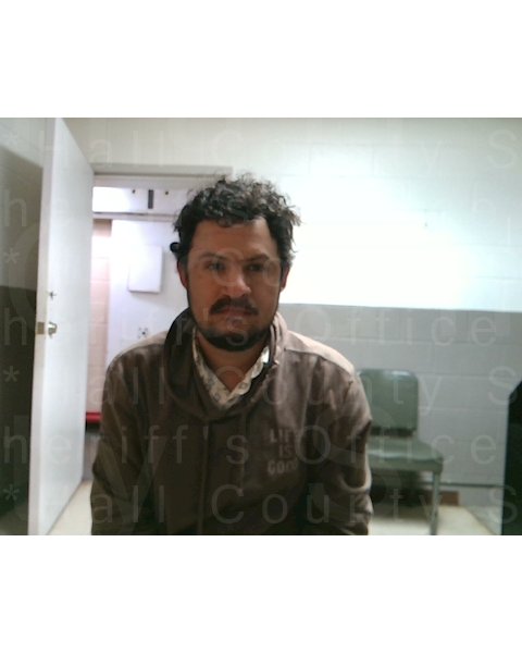 Mugshot of MANUEL GRADAJEDA ALVAREZ