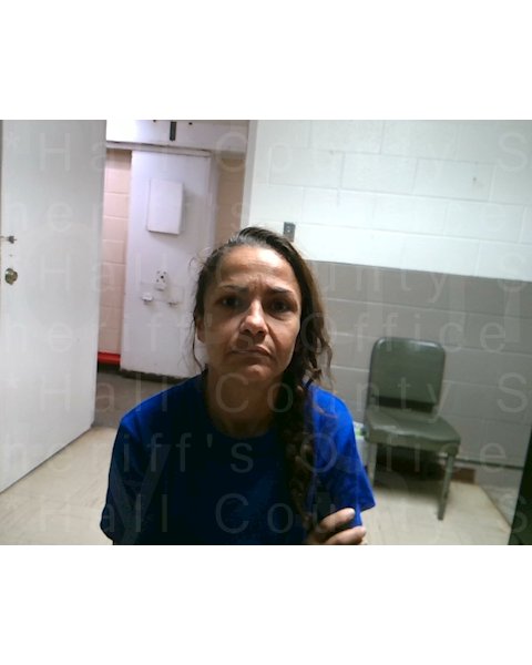 Mugshot of CLARISSA DUTRA FIELDS