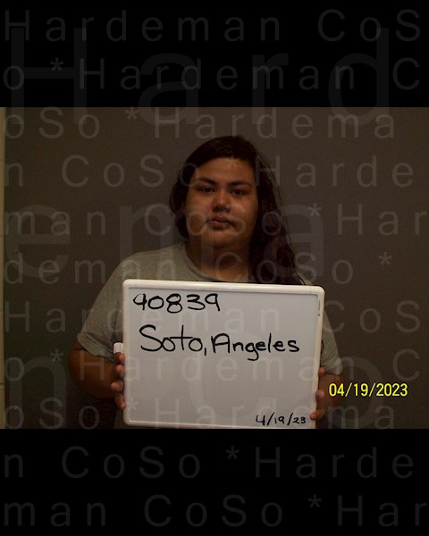 Mugshot of ANGELES VALERIA SOTO