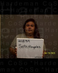 Mugshot of ANGELES VALERIA SOTO