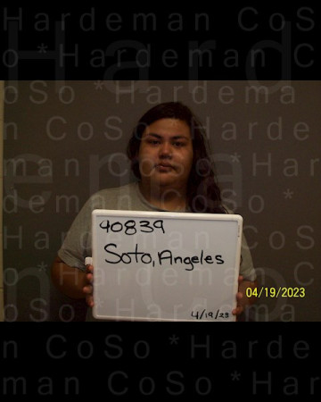Mugshot of ANGELES VALERIA SOTO