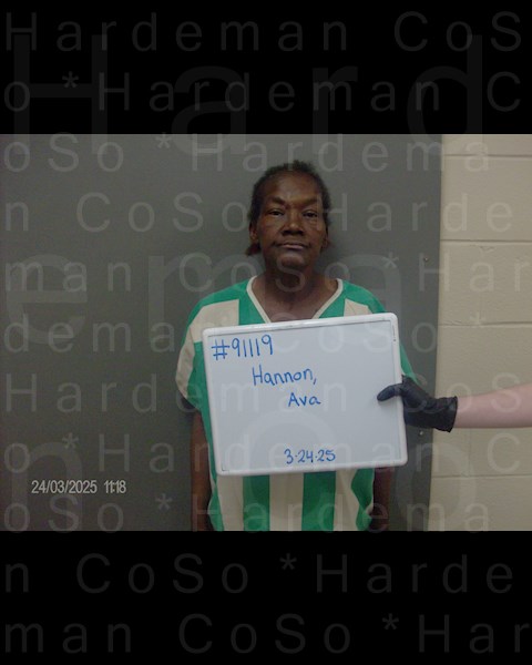 Mugshot of AVA LYNN HANNON