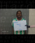 Mugshot of AVA LYNN HANNON