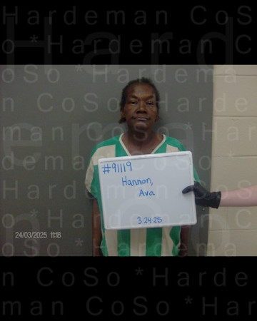 Mugshot of AVA LYNN HANNON