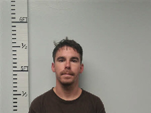 Mugshot of Dakota Mcall George