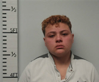 Mugshot of Dayana Ashley Molina Bonilla