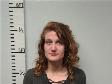 Mugshot of Whitney Le Willis